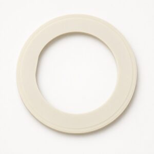 Ceramic Ring 2nd Source New