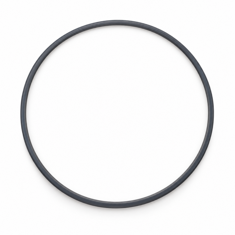 0200-01797 INSERT RING NM 300MM eMAX